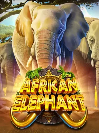 African Elephant Slot online at Fatbet